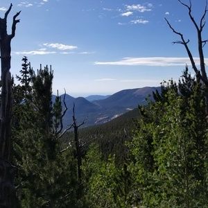 Meet your Posher, Blaine